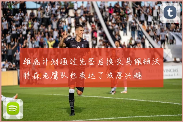 雄鹿计划通过先签后换交易佩顿沃特森老鹰队也表达了浓厚兴趣