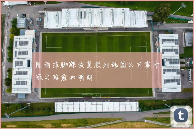 陈雨菲脚踝恢复顺利韩国公开赛冲冠之路愈加明朗