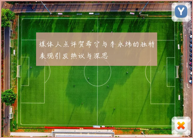 媒体人点评贺希宁与李永炜的独特表现引发热议与深思